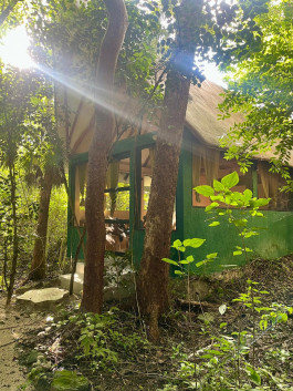  Practice Yoga Berlin