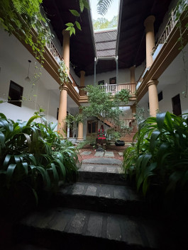 Practice Yoga Berlin