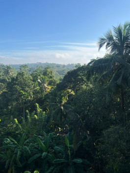  Practice Yoga Berlin