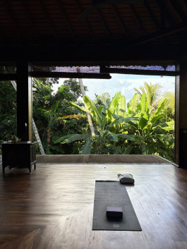 Practice Yoga Berlin