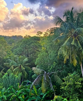 Practice Yoga Berlin